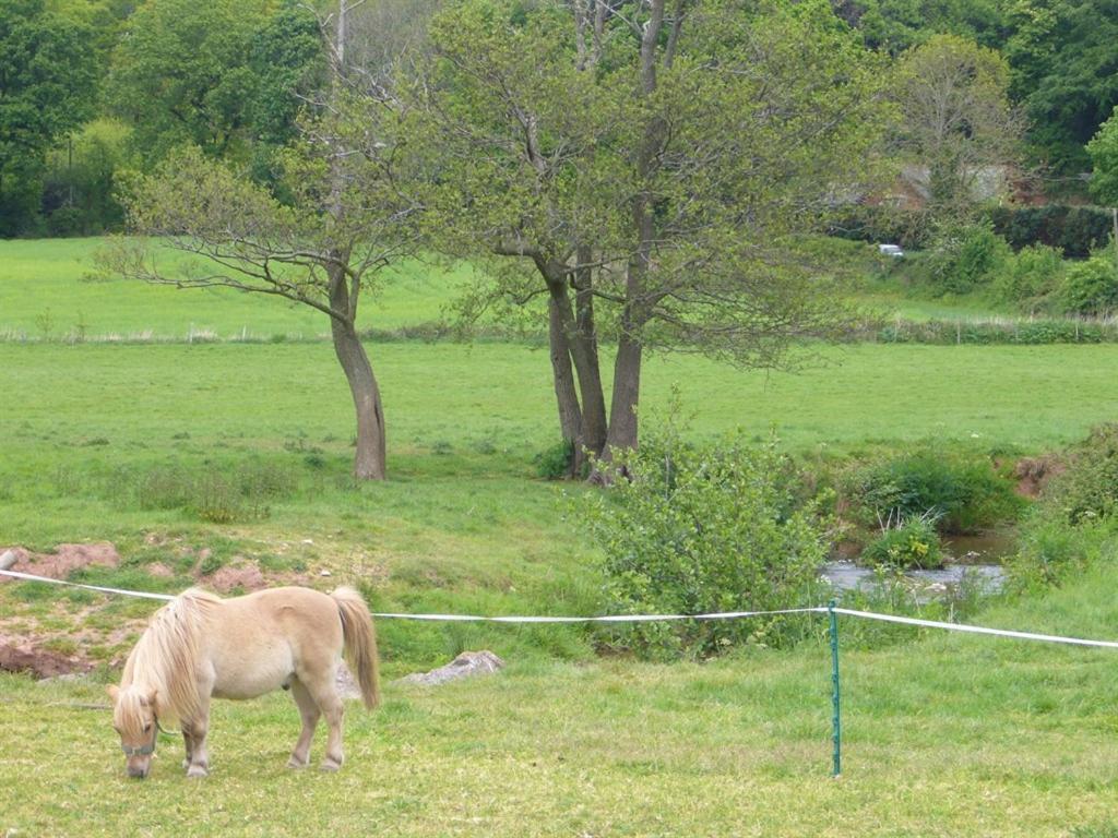 הוילה אקסטר Mill Farm מראה חיצוני תמונה